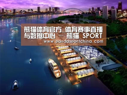 案例展示八