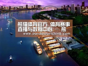 案例展示八