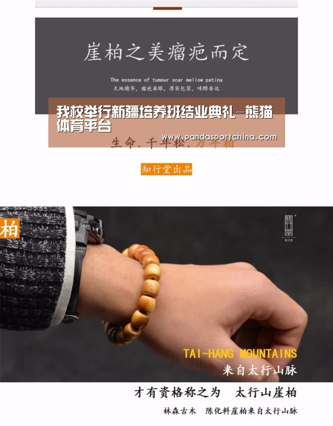 熊猫体育app