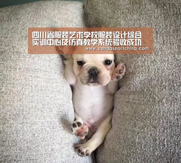 熊猫体育官网
