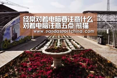 熊猫体育官网