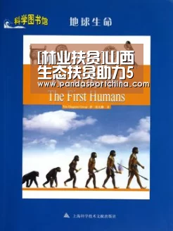 熊猫体育app